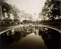 Raleigh Rose Garden by Diana Bloomfield