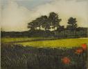 Garden Walk II State by Susan Baehmann