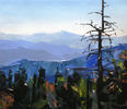 Blue Ridge Mountains by David Shingler