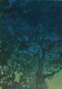 Twilight Treescape by Susan Baehmann