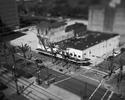 Canal & Treme by Andrew Ross