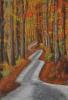 Powerhouse Road by Cindy Cave