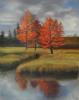 Autumn in Canaan Valley by Cindy Cave