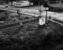 Adams Crossing (l) by Andrew Ross