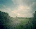 North Carolina Kudzu II by Diana Bloomfield