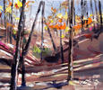 Fall at Stone Mountain by David Shingler