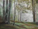 Appalachian Yearling by Cindy Cave