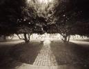 Capitol Grounds, Raleigh by Diana Bloomfield