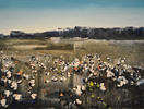 Cotton by David Shingler