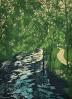Creek Torrents by Susan Baehmann