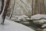 Winter Solstice, Elakala Falls by Cindy Cave