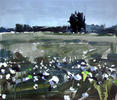 Cotton Field by David Shingler